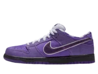 Nike SB X concepts purple