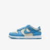 Nike dunk unisex blue white