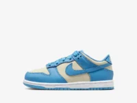 Nike dunk unisex blue white