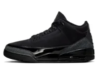 Air Jordan 3 Black Cat