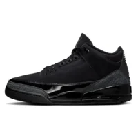Air Jordan 3 Black Cat