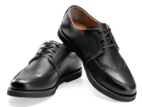 Stanford Limit Derby Black with Lama