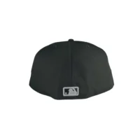 Boston Black & White Cap